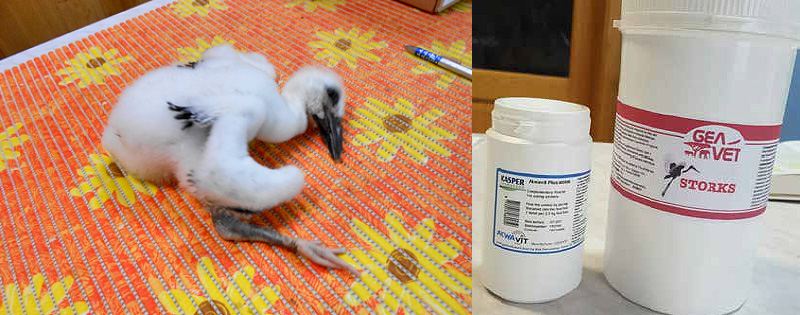 VeterinarskaOskrba.jpg