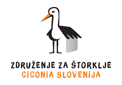 ciconia.PNG