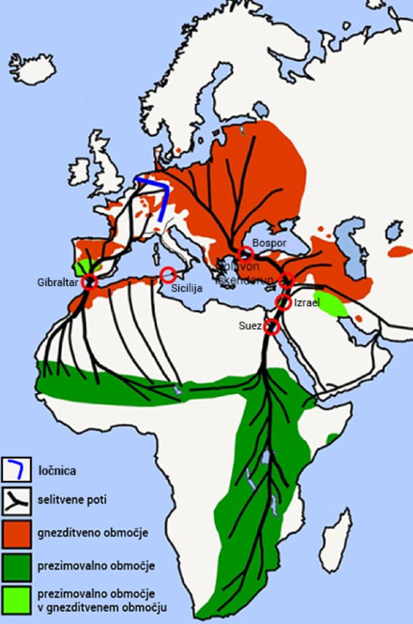 storch_world_map.png