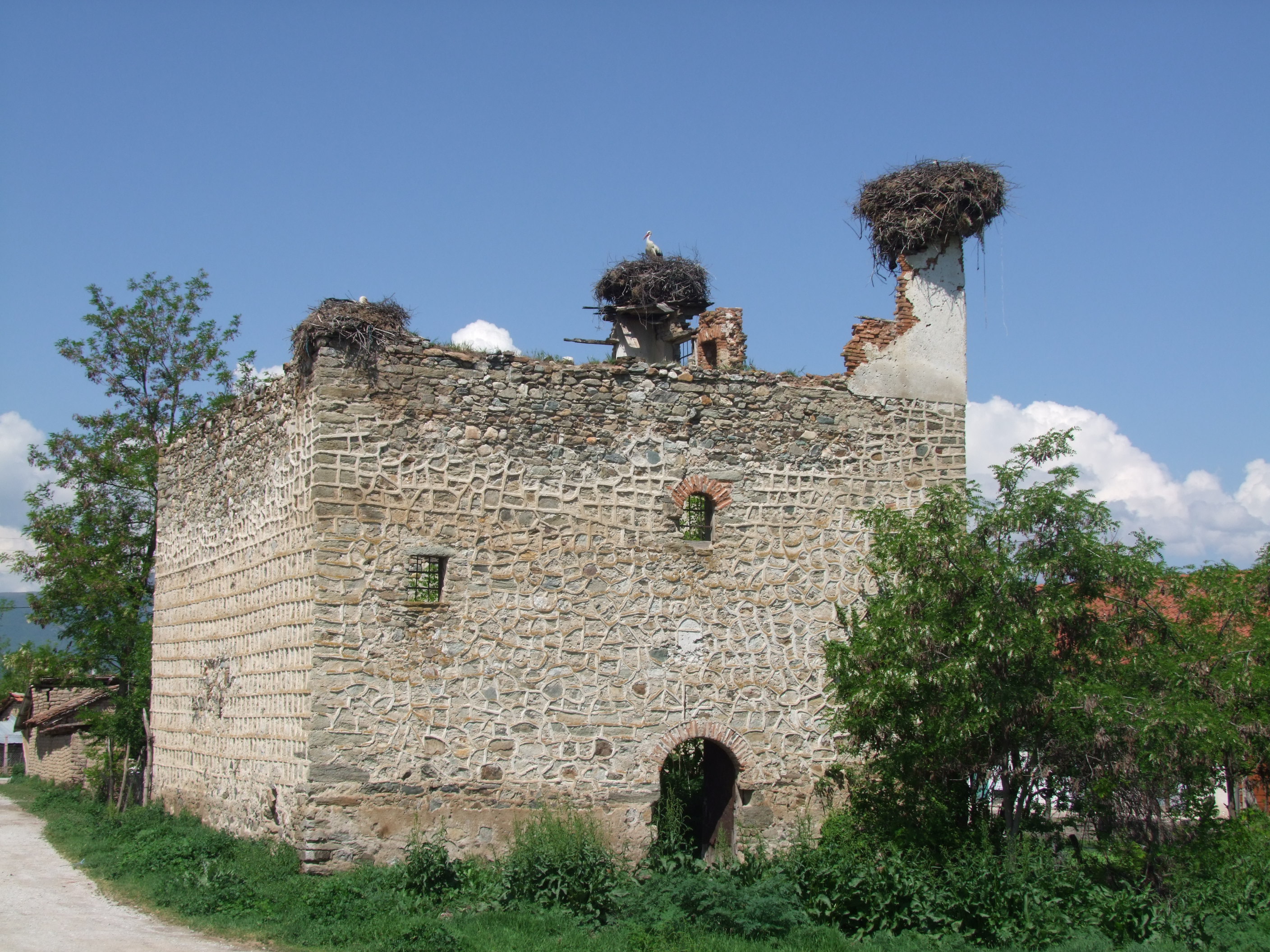 DSCF1189.JPG